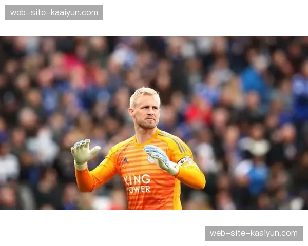 捷克队防守反击战术执行到位 但面对强攻仍显吃力